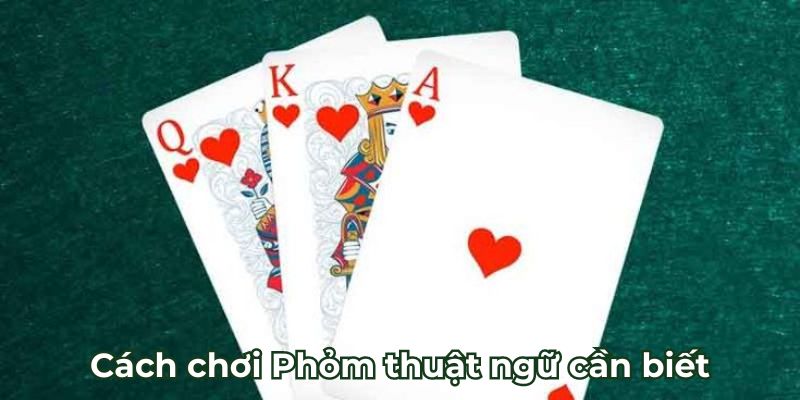 Cách chơi Phỏm thuật ngữ cần biết